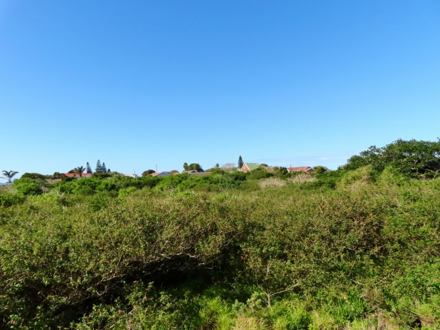 0 Bedroom Property for Sale in Forest Downs Eastern Cape
